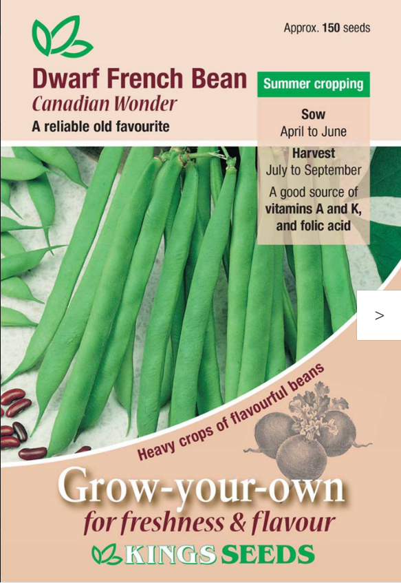Kings Seeds Dwarf French Bean Canadian Wonder 150 Seeds