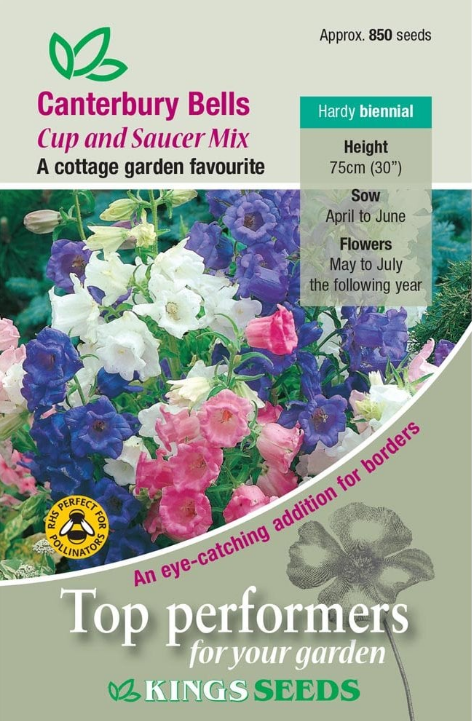 Kings Seeds Canterbury Bells Cup & Saucer Mix Seeds