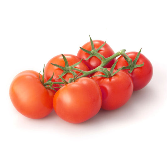 Tomato Cappricia RZ (72-466) F1 GSPP Seeds