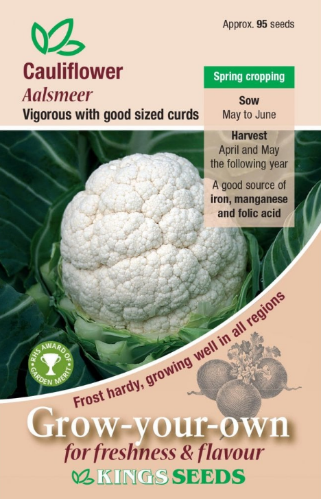 Kings Seeds Cauliflower Aalsmeer 95 Seeds