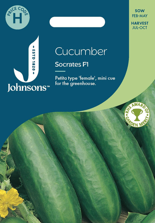 Johnsons - Cucumber Socrates F1 - 5 Seeds