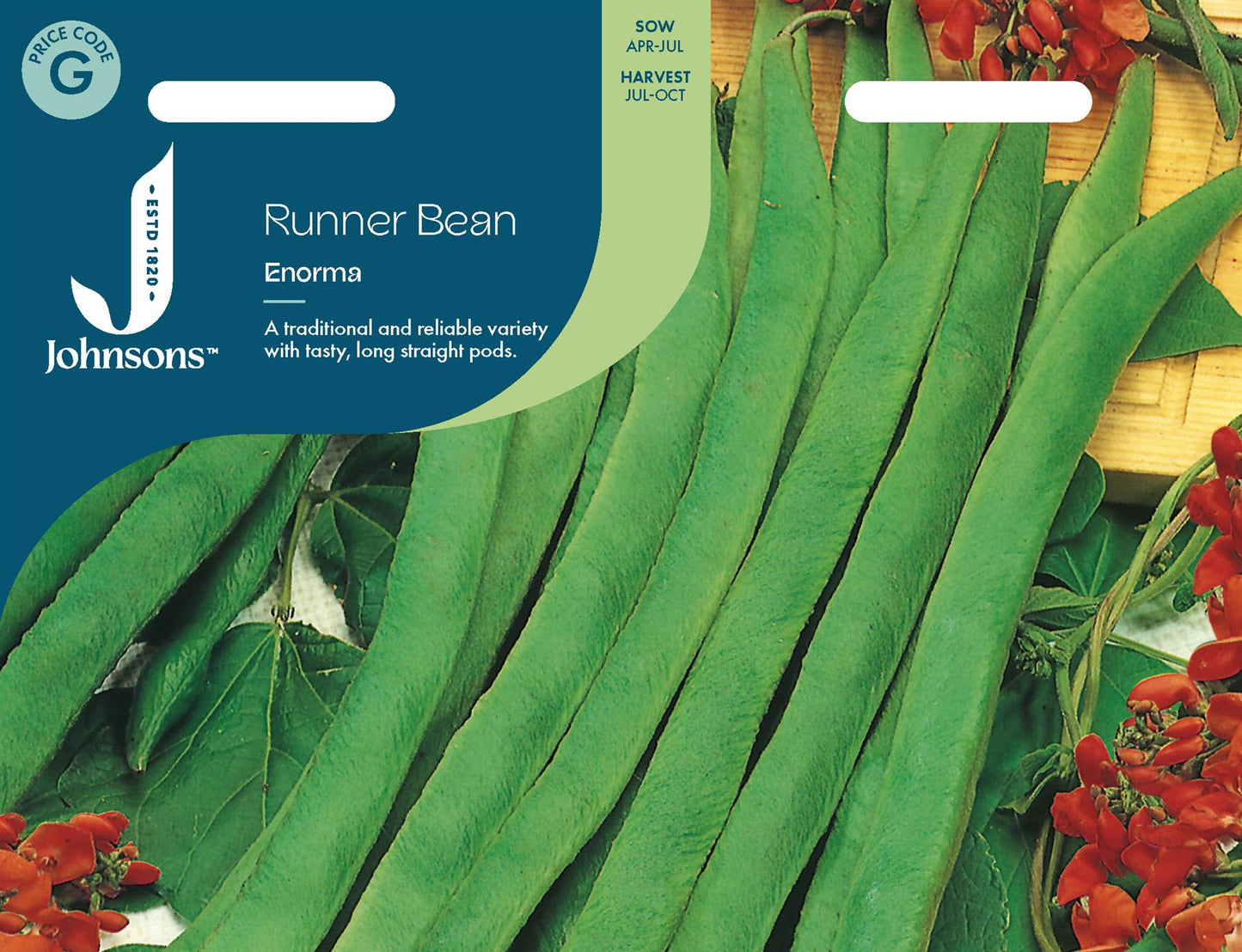 Johnsons - Runner Bean Enorma - 40 Seeds