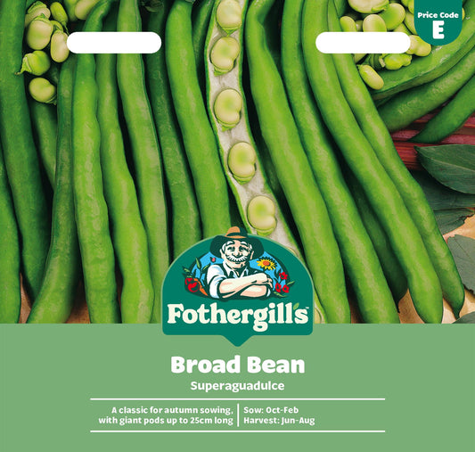Fothergills Broad Bean Superaguadulce Seeds