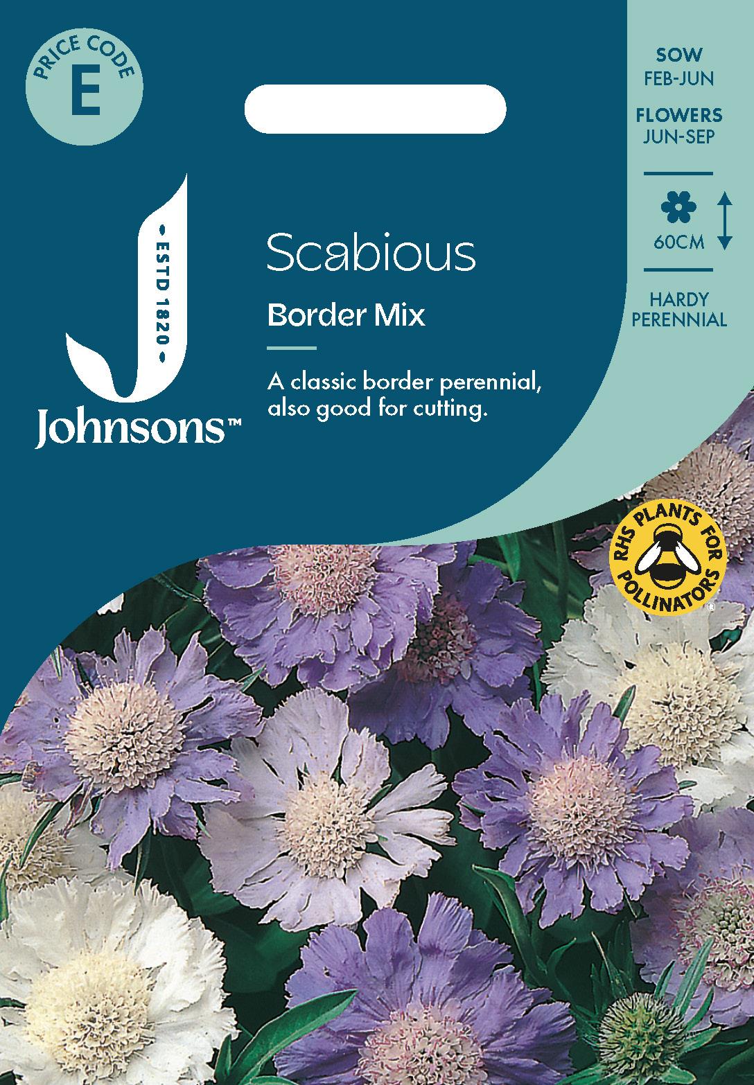 Johnsons - Scabious Border Mix - 50 Seeds