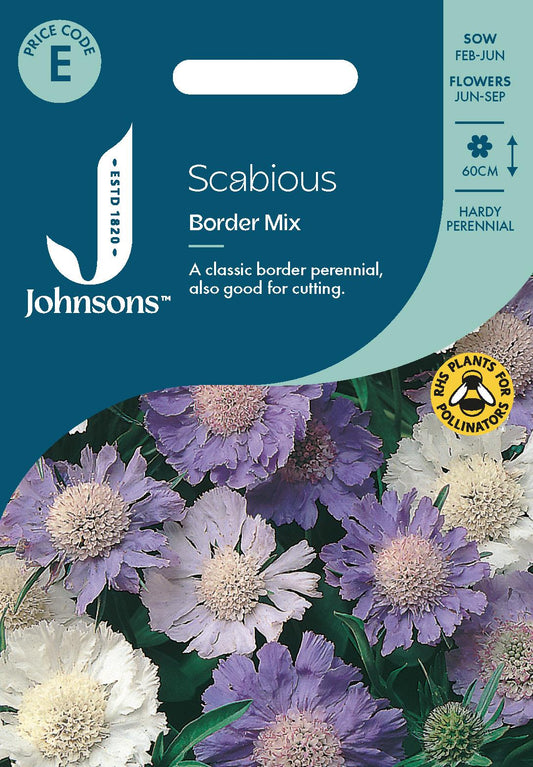 Johnsons - Scabious Border Mix - 50 Seeds