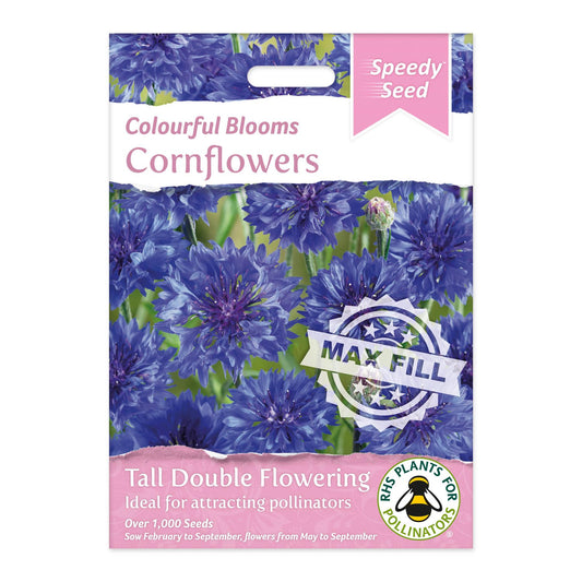 Speedy Seeds Flowers Cornflower RHS Plants for Pollinators