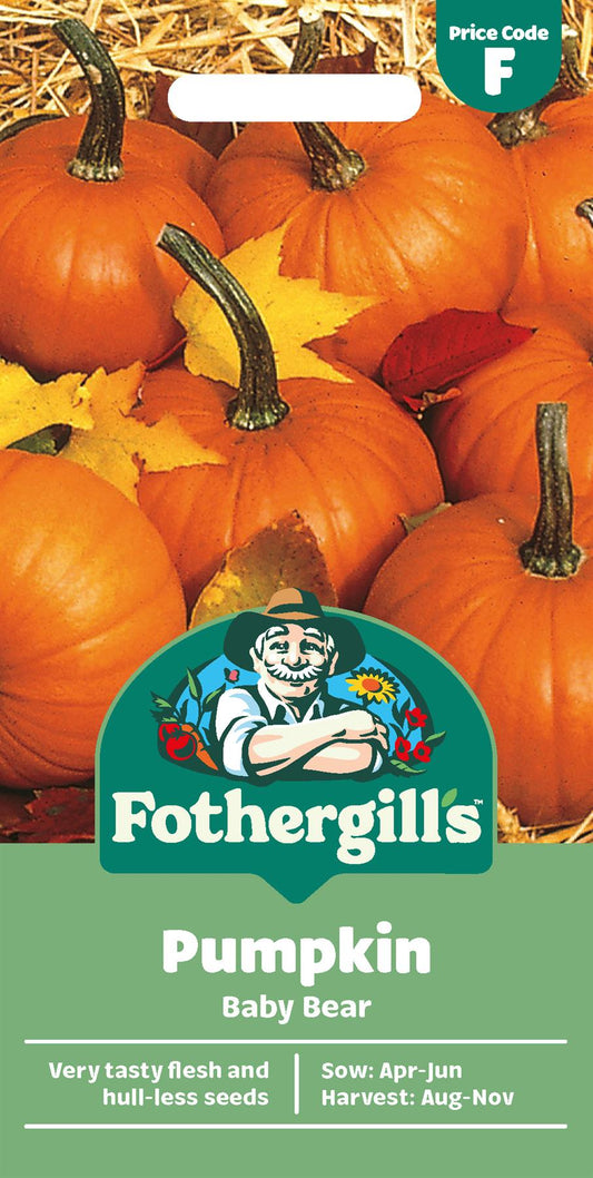 Fothergills Pumpkin Baby Bear Seeds