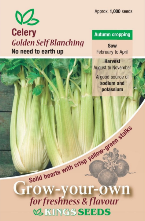 Kings Seeds Celery Golden Self Blanching 1000 Seeds