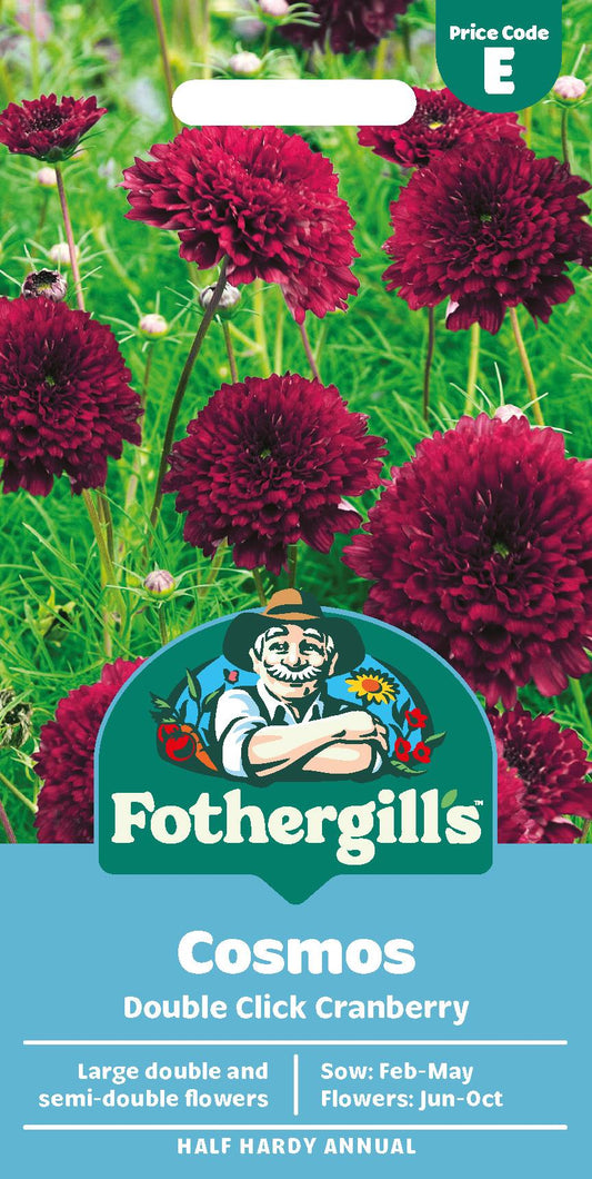 Fothergills Cosmos Double Click Cranberry Seeds