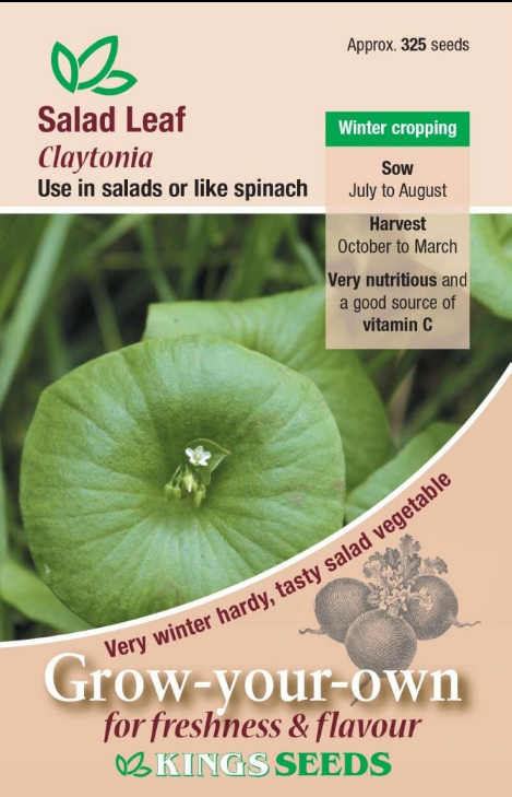 Kings Seeds Salad Leaf Claytonia (Miners Lettuce) 325 Seeds