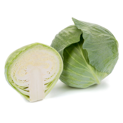 Cabbage Congama RZ F1 (30-717) Untreated Seeds