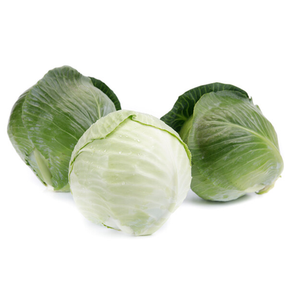 Cabbage Congama RZ F1 (30-717) Untreated Seeds