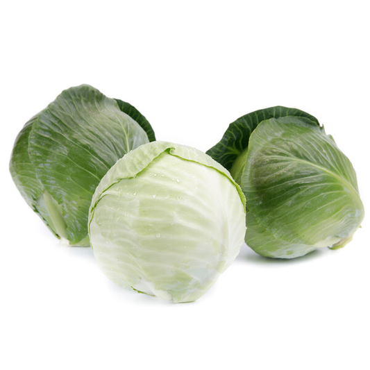 Cabbage Congama RZ F1 (30-717) Untreated Seeds