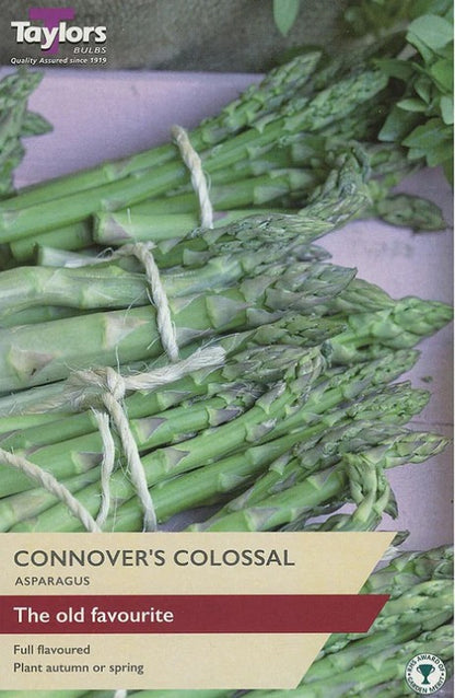 Asparagus Crowns – 2 Crown Packs (Connover’s Colossal, Gijnlim F1, Pacific Purple)