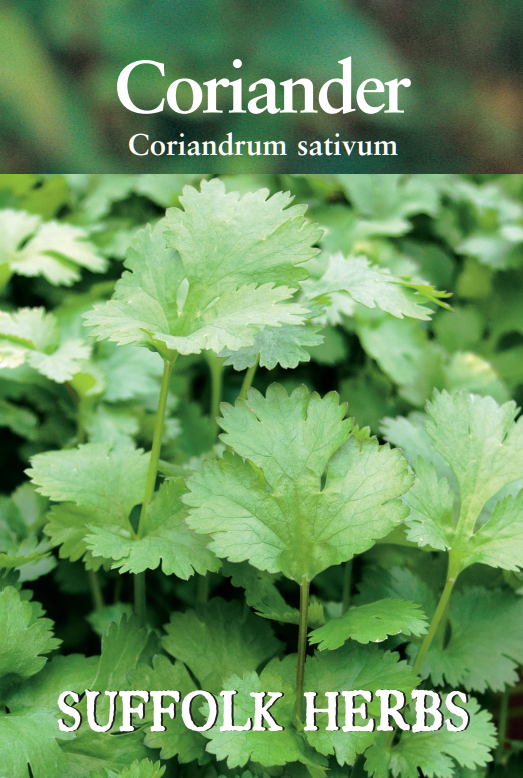 Suffolk Herbs Organic Coriander Cilantro Seeds