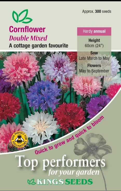 Kings Seeds Cornflower Double Mixed 100 Seeds – JustSeed