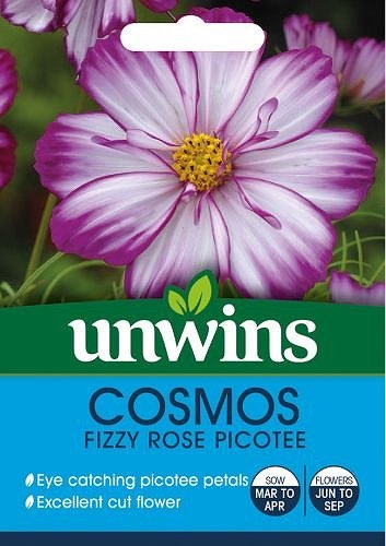 Unwins Cosmos Fizzy Rose Picotee 100 Seeds