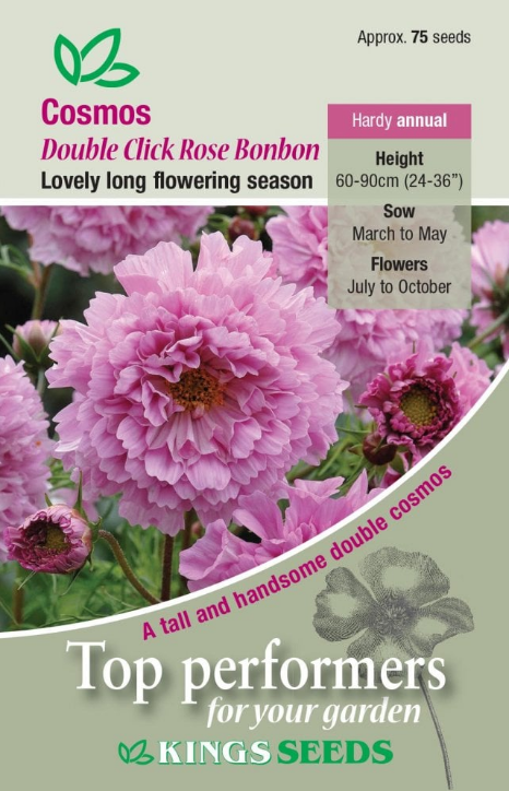 Kings Seeds Cosmos Double Click Rose Bonbon 75 Seeds
