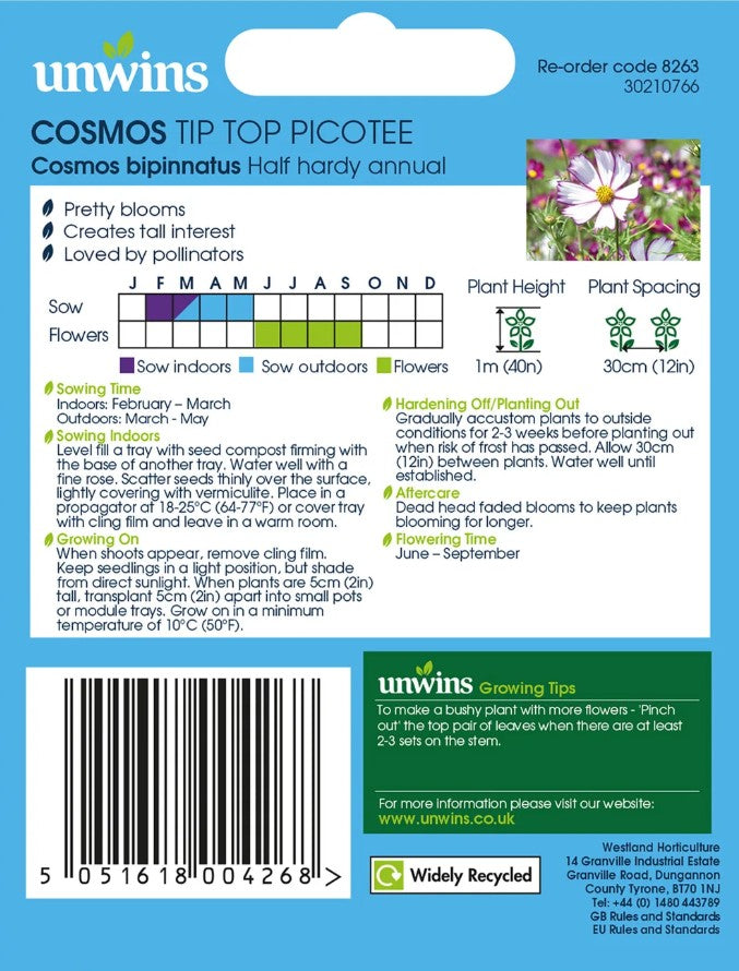 Unwins Cosmos Tip Top Picotee Seeds – White & Purple Flowers