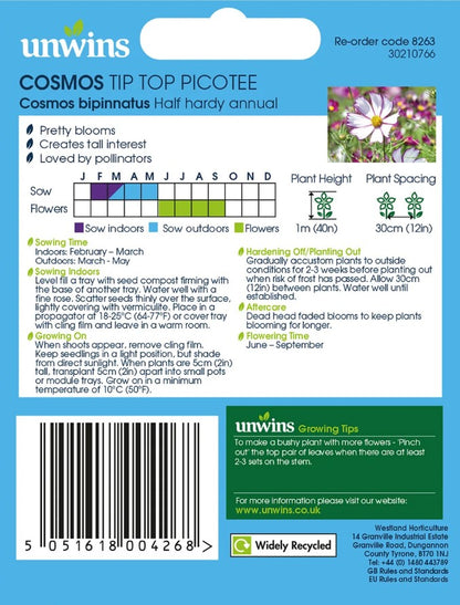 Unwins Cosmos Tip Top Picotee Seeds – White & Purple Flowers