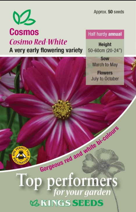 Kings Seeds Cosmos Cosimo Red White 50 Seed