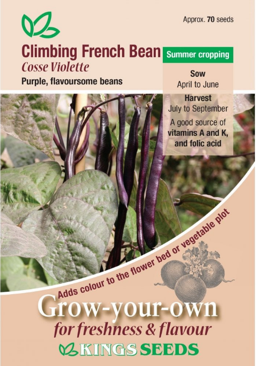 Kings Seeds Climbing French Bean Cosse Violette Seeds