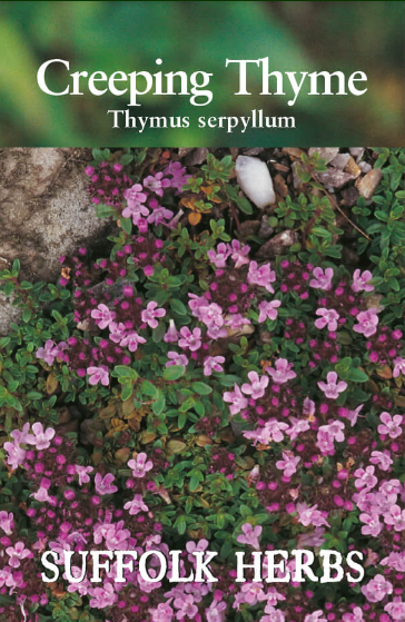 Suffolk Herbs Creeping Thyme 450 Seeds