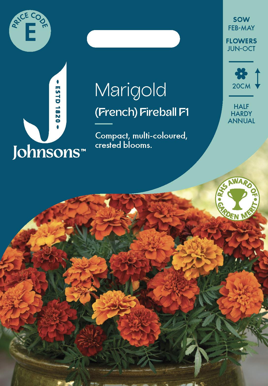 Johnsons - French Marigold Fireball F1 - 50 Seeds