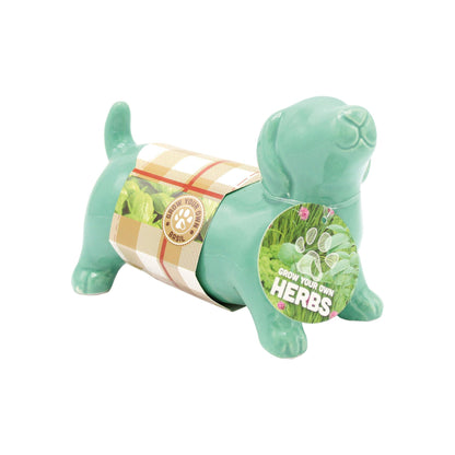 Sausage Dog Basil Herb Planter Grow Kit – Bees Seeds