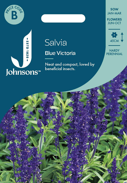 Johnsons - Salvia Blue Victoria - 250 Seeds