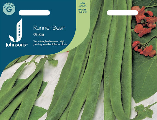 Johnsons - Runner Bean Galaxy - 40 Seeds
