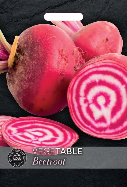 Thompson & Morgan Kew Vegetable Beetroot 'Chioggia'  - 50 Seeds