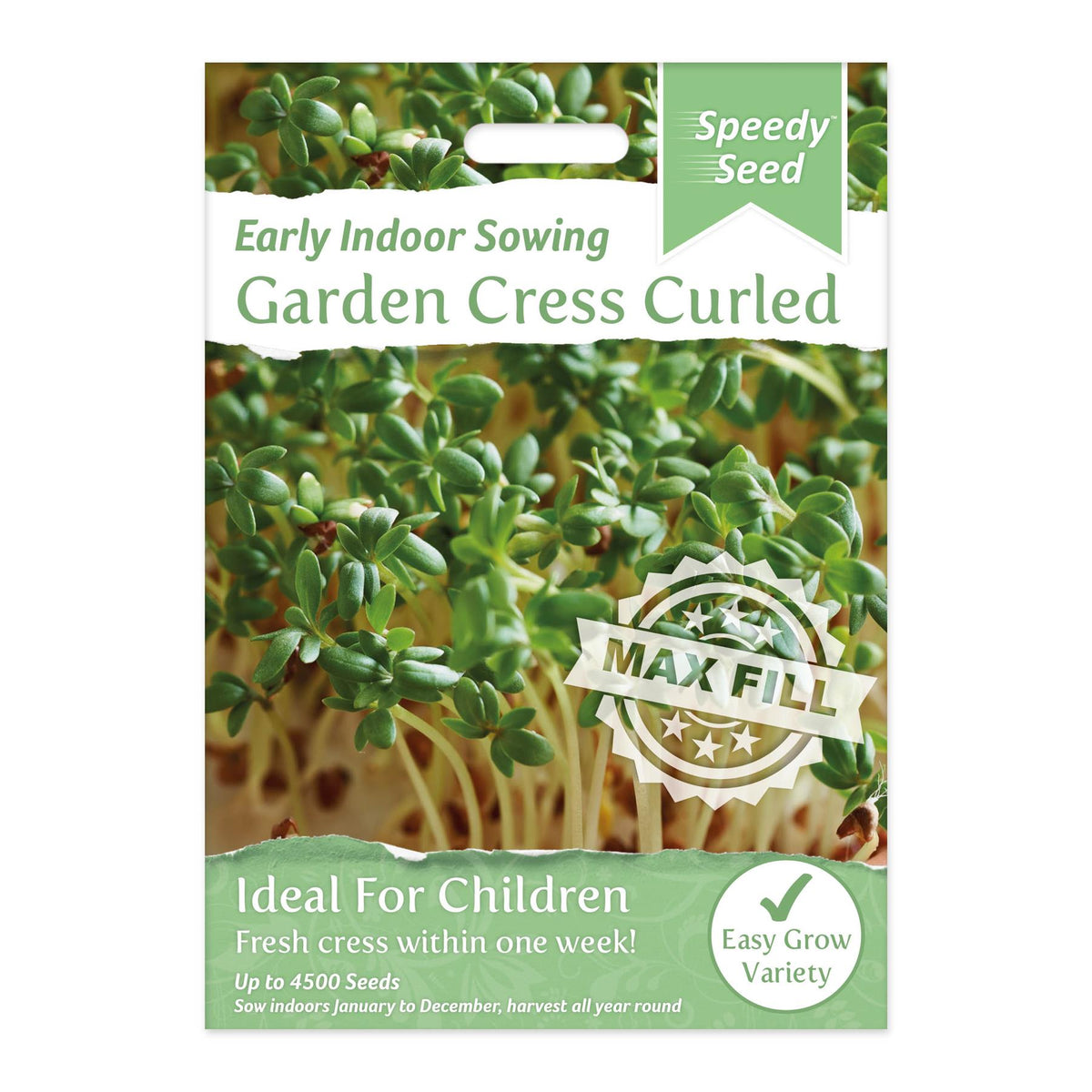 Speedy Seeds Vegetable  Garden Cress Curled Early Indoor Sowing