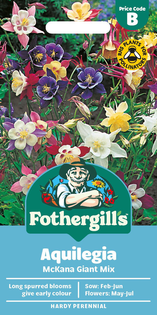 Fothergills Aquilegia Mckana Giant Mix Seeds