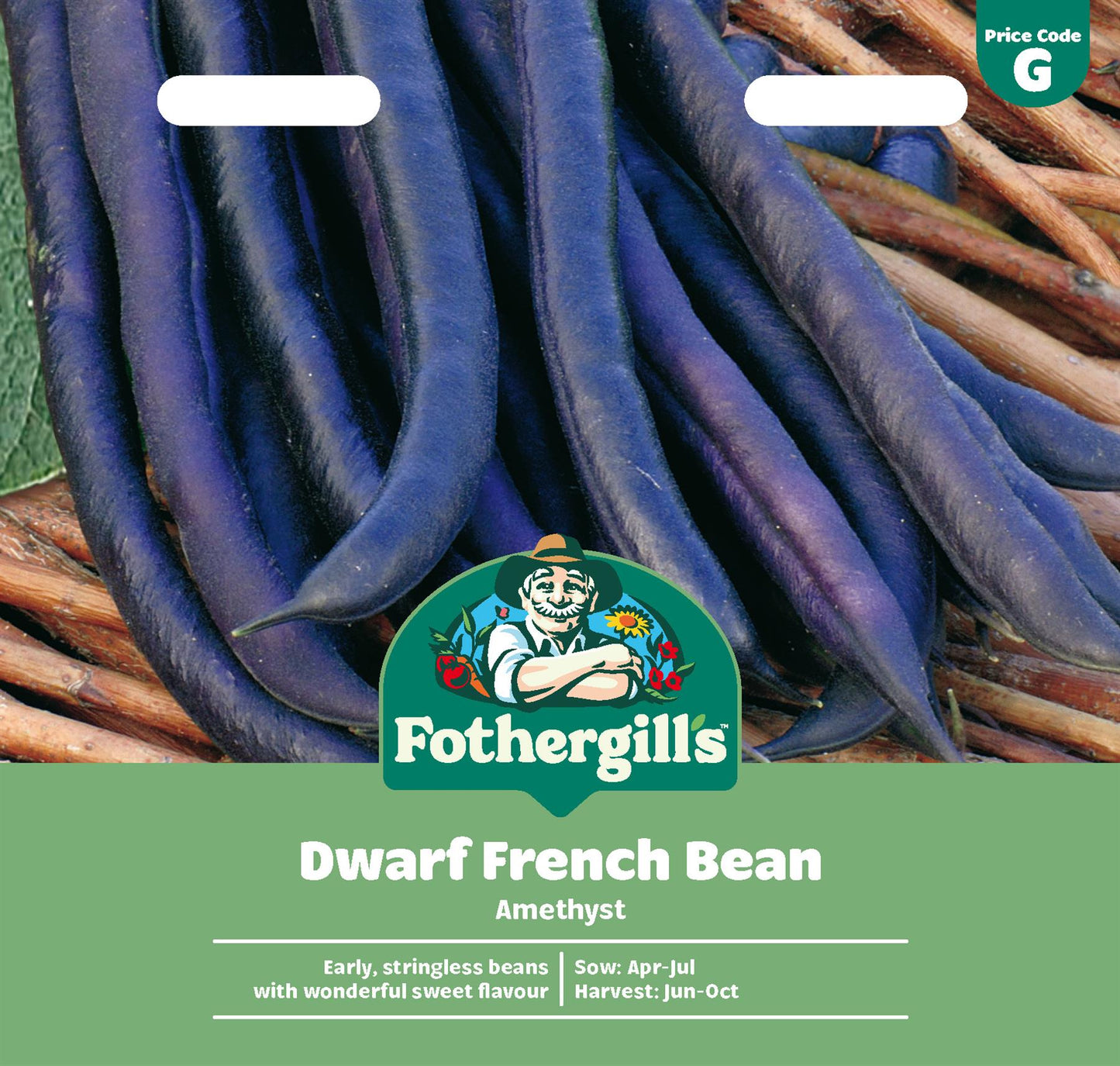 Fothergills Dwarf French Bean Amethyst Seeds