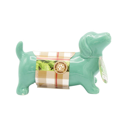 Sausage Dog Basil Herb Planter Grow Kit – Bees Seeds