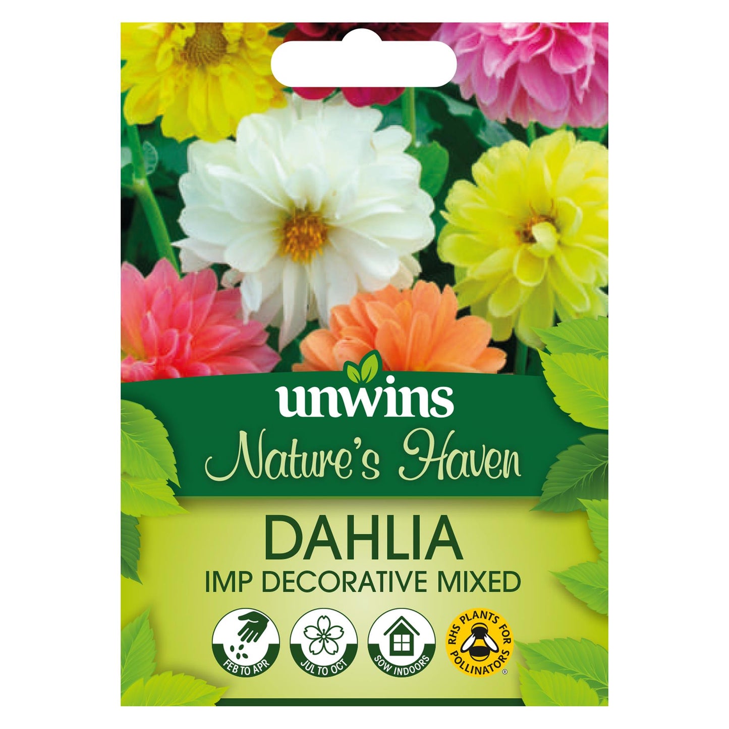 Unwins Flower Dahlia Imp Decorative Mixed - 50 Seeds