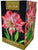 Taylors - Amaryllis Bulb Gift Pack - Blossom Peacock- Pink with White Flower