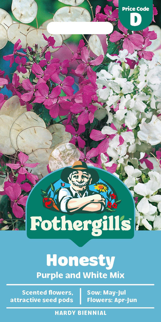 Fothergills Honesty Purple And White Mix Seeds