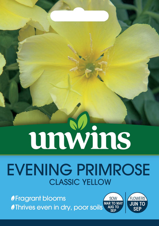 Unwins Wildflower Evening Primrose 200 Seeds