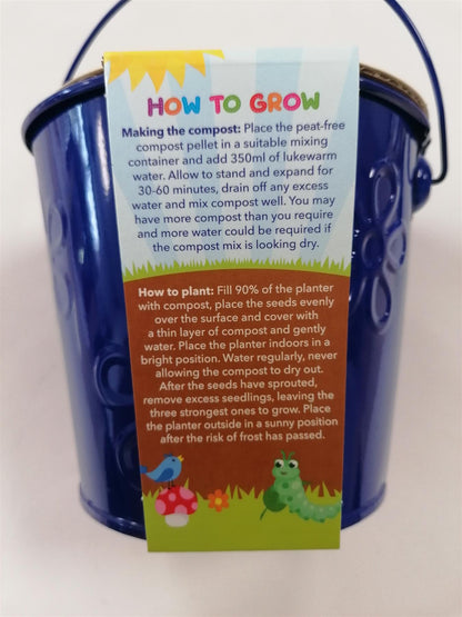 Taylors - Grow Your Own - Strawberries