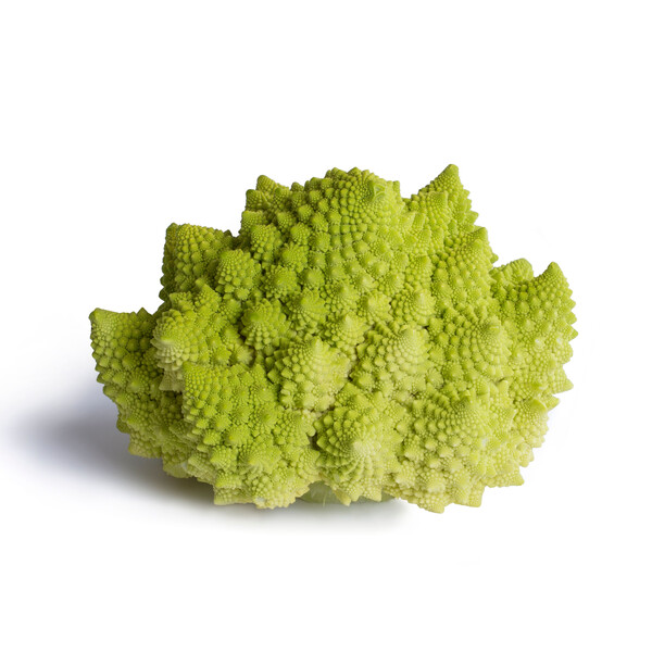 Cauliflower Delaverde RZ F1 (26-RO144) Seeds