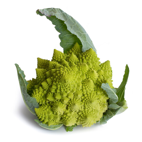 Cauliflower Delaverde RZ F1 (26-RO144) Seeds