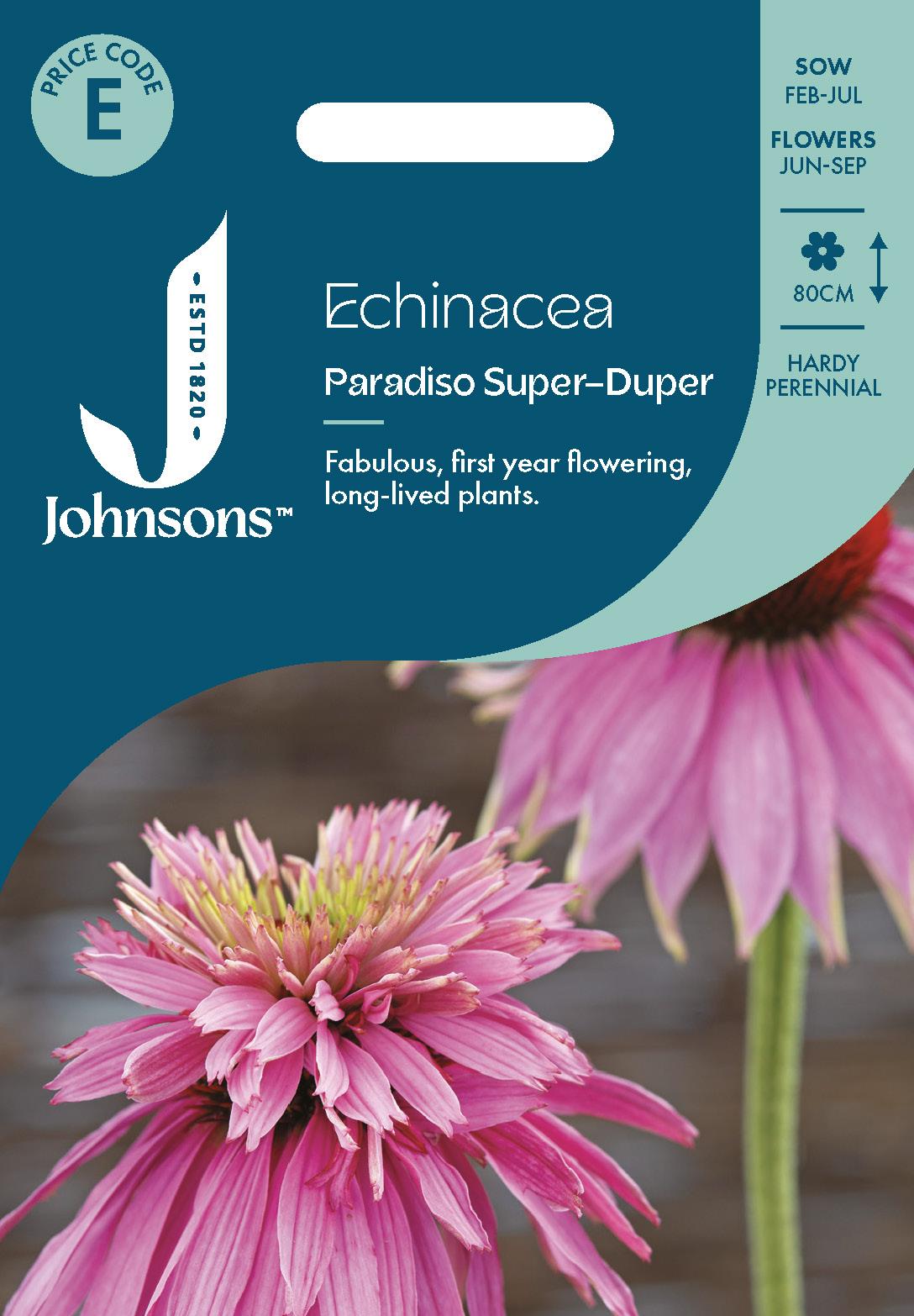 Johnsons - Echinacea Paradiso Super - Duper - 10 Seeds
