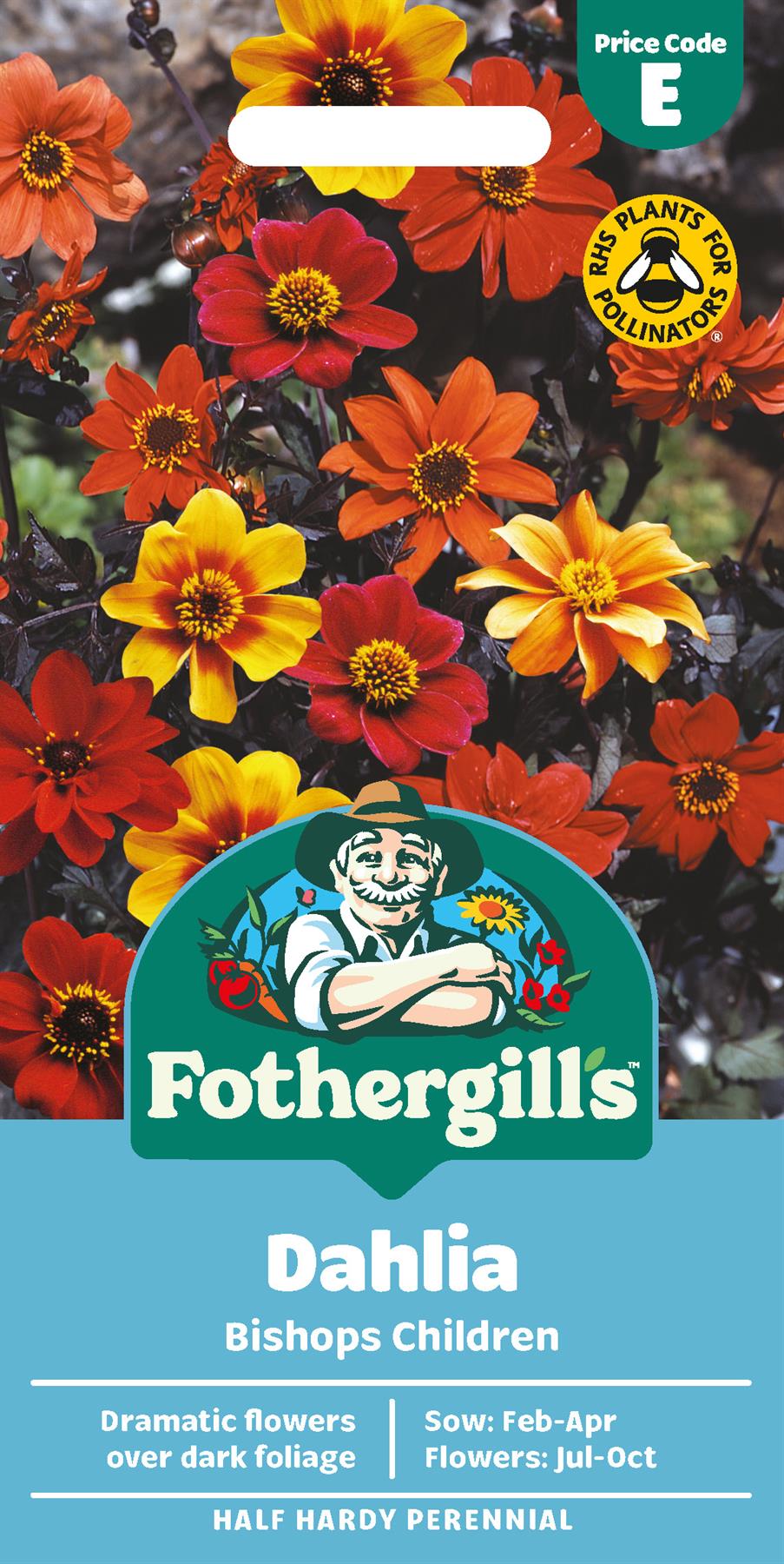 Fothergills Dahlia Bishops Children Seeds