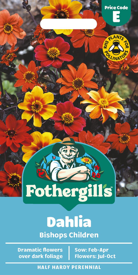Fothergills Dahlia Bishops Children Seeds