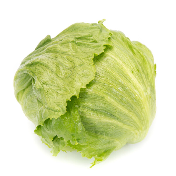 Lettuce Iceberg Diurnas RZ Seeds