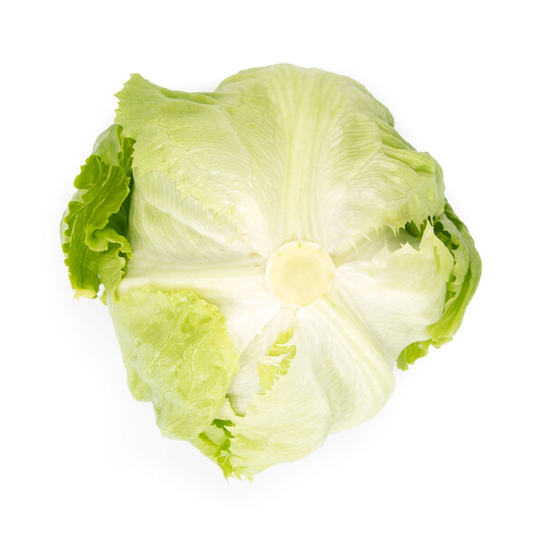 Lettuce Iceberg Diurnas RZ Seeds