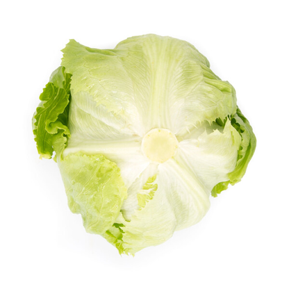 Lettuce Iceberg Diurnas RZ Seeds