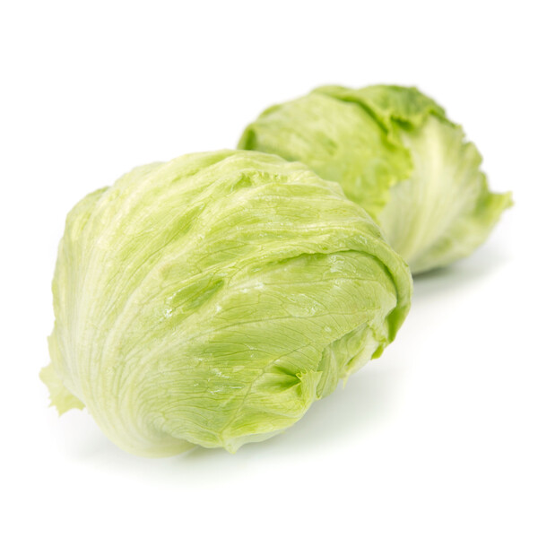 Lettuce Iceberg Diurnas RZ Seeds